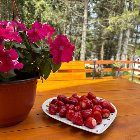 Holiday Home ,,Lazar" Zabljak  Exterior photo