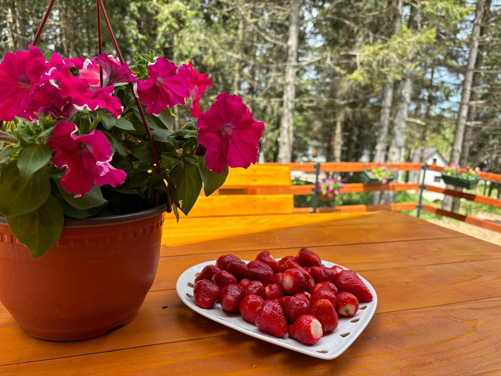 Holiday Home ,,Lazar" Zabljak  Exterior photo