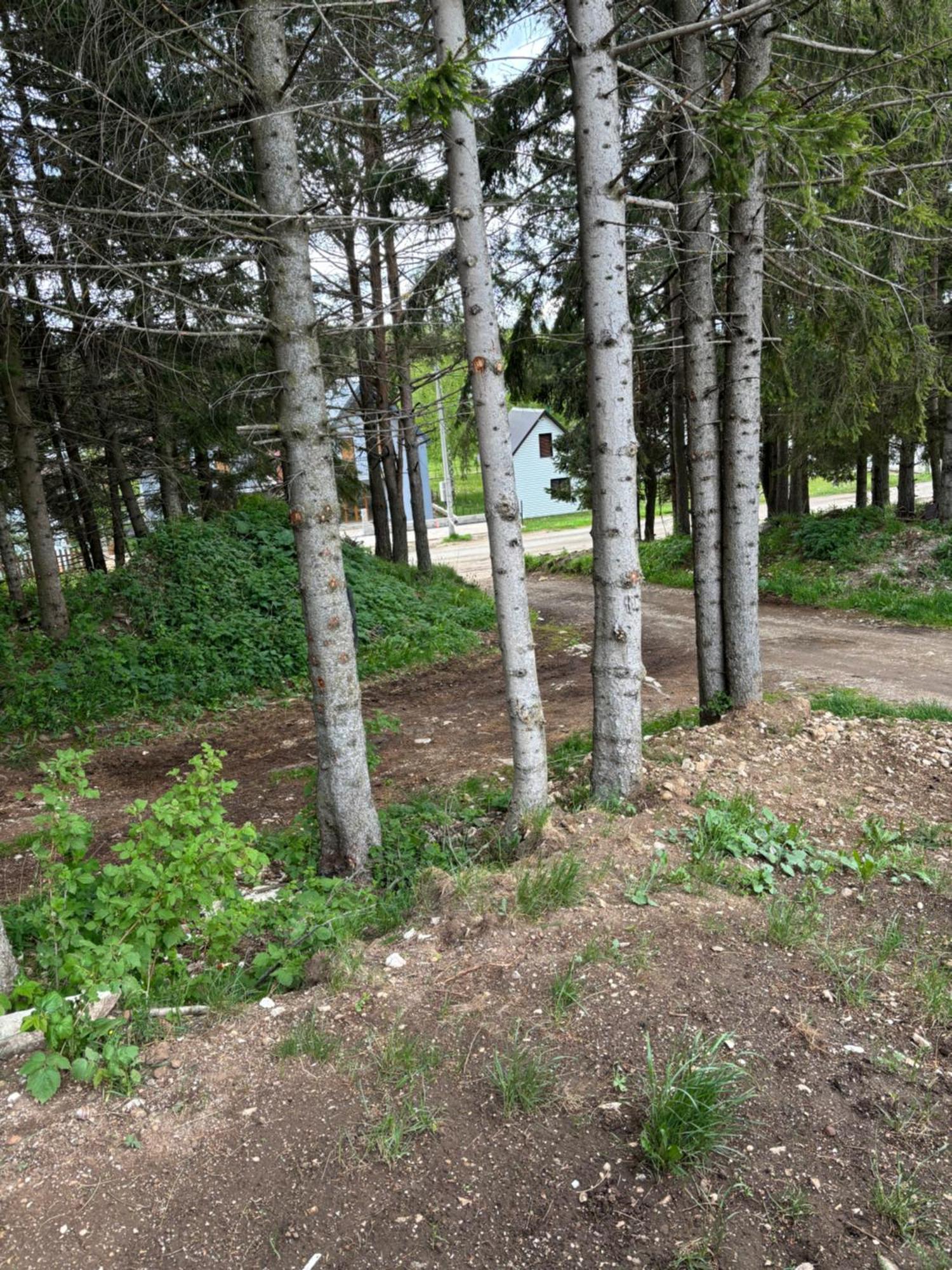 Holiday Home ,,Lazar" Zabljak  Exterior photo